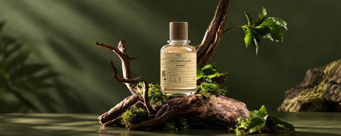 Parfumix winter perfumes for men in the UAE, featuring warm spicy, woody and oud fragrances